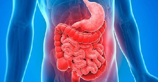 Transito intestinal: un indicador de salud digestiva